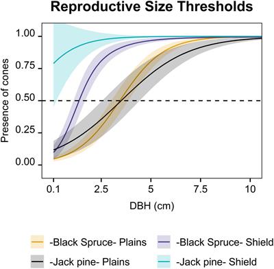 What Drives Reproductive Maturity and Efficiency in Serotinous Boreal Conifers?